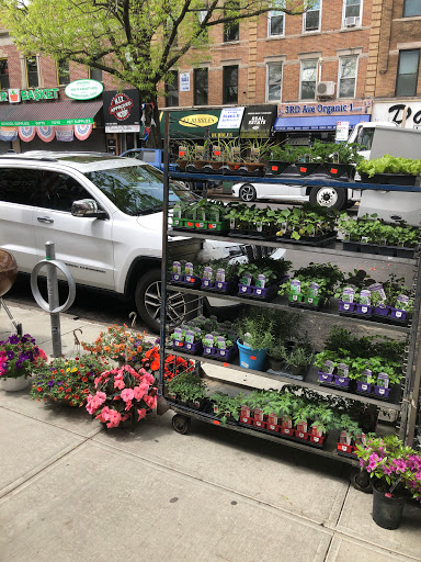 Home Improvement Store «United True Value Hardware», reviews and photos, 7905 3rd Ave, Brooklyn, NY 11209, USA