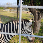 Photo n°4 de l'avis de Raffaella.e fait le 22/11/2020 à 06:52 sur le  Il Casolare Castelminio à Resana