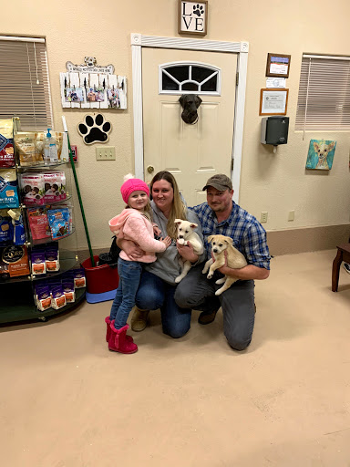 Animal Rescue Service «1 Love Dog Rescue», reviews and photos