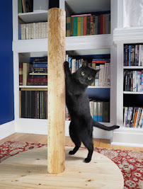 Shoo-Kitty, Inc - Photo 4 - Car repair in Stratford, CT, Bridgeport