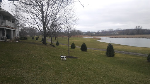 Park «Hoosier Grove Park», reviews and photos, 700 W Irving Park Rd, Streamwood, IL 60107, USA