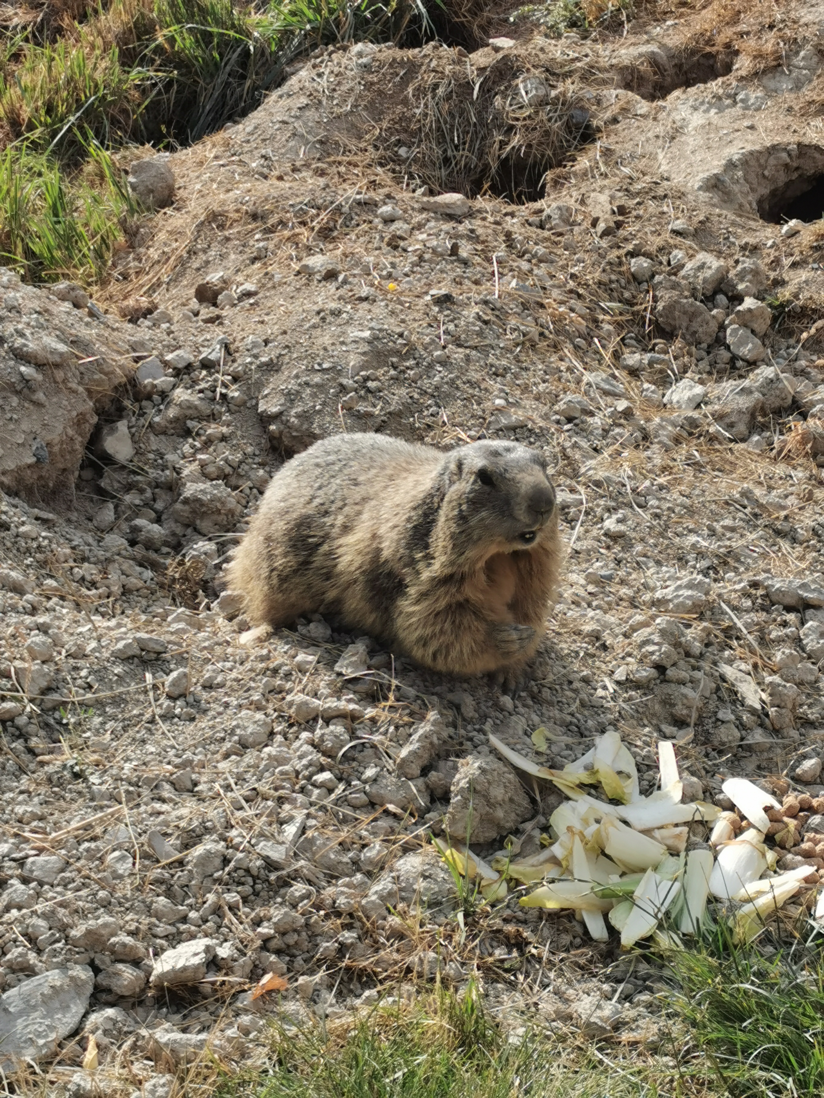 Photo n° 6 de l'avis de Mustapha.A fait le 30/07/2021 à 08:53