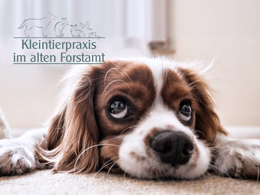 Kleintierpraxis im alten Forstamt unter Mitterfels, Bayern