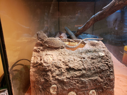 Pet Supply Store «PetSmart», reviews and photos, 901 US-1, North Brunswick Township, NJ 08902, USA