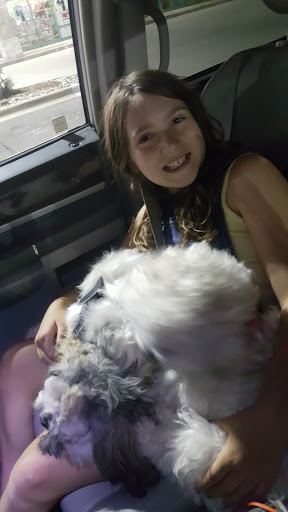 Pet Supply Store «Purely Pets», reviews and photos, 13723 23 Mile Rd, Shelby Charter Township, MI 48315, USA