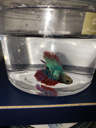 Pet Supply Store «Petco Animal Supplies», reviews and photos, 1337 N National Rd, Columbus, IN 47201, USA