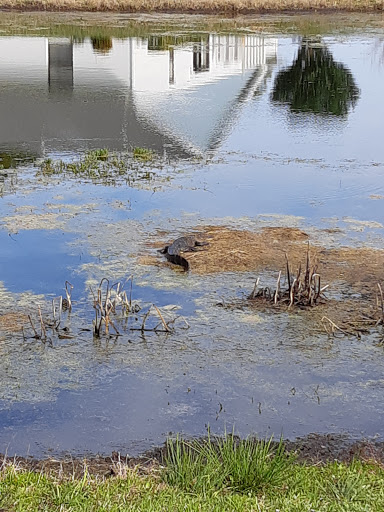 Golf Club «Summertree Golf Club», reviews and photos, 11816 Paradise Point Way, New Port Richey, FL 34654, USA