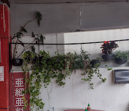 Sushi Tashingon photo