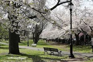 Wooster Square Park image