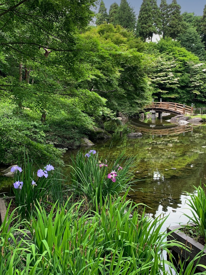 栃木県中央公園 日本庭園むつび池