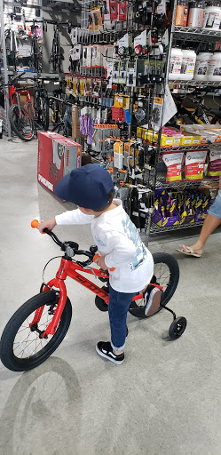 Bicycle Store «Big Wheel Bicycles USA, Inc», reviews and photos, 7035 Taft St, Hollywood, FL 33024, USA