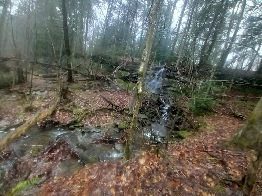 Tourist Attraction «Winsdor Mills Covered Bridge», reviews and photos, 7696 Warner Hollow Rd, Windsor, OH 44099, USA