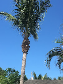 Superior Lawn & Maintenance Services, LLC - Photo 5 - Car repair in Jensen Beach, FL, Port St. Lucie