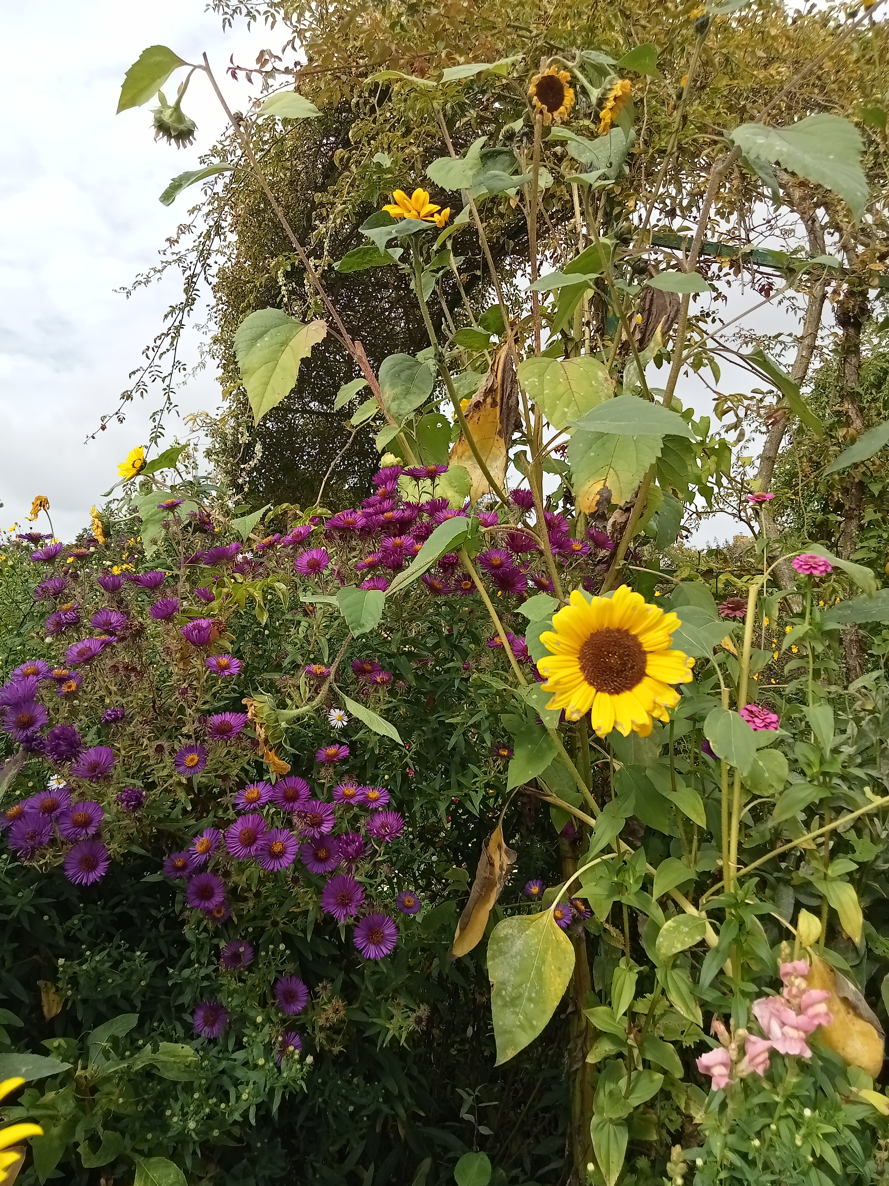 Photo n° 4 de l'avis de Celia.u fait le 29/09/2023 à 21:23