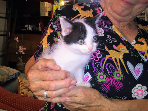 Consignment Shop «Riverbend Resale Shop», reviews and photos, 799 N Old St Louis Rd, Wood River, IL 62095, USA