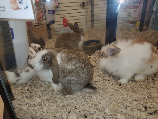 Pet Store «Back To Nature Pets & Grooming», reviews and photos, 110 N Dupont Hwy, New Castle, DE 19720, USA