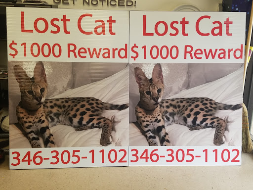 Sign Shop «Southern Star Signs & Graphics», reviews and photos, 22285 Ford Rd Suite 100, Porter, TX 77365, USA