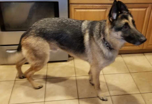 Pet Supply Store «Mud Bay», reviews and photos, 148 SW 148th St b130, Burien, WA 98166, USA