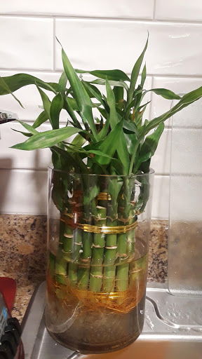 Supermarket «Savers Cost Plus», reviews and photos, 1610 S Westmoreland Rd, Dallas, TX 75211, USA