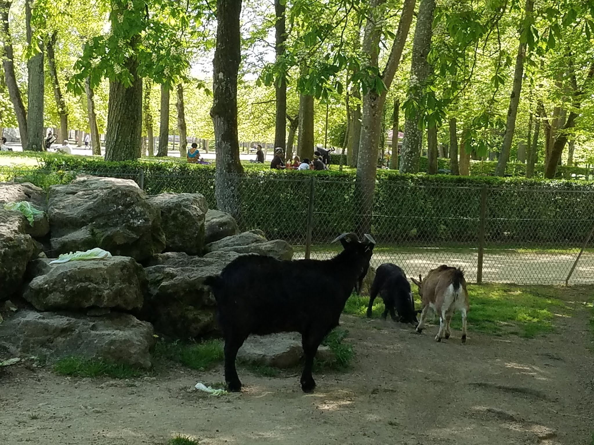 Photo n° 26 de l'avis de Elo.i fait le 14/09/2019 à 15:15