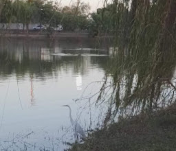 Laguna del Nainari photo
