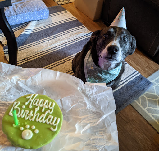 Pet Supply Store «Brown Dog Bakery», reviews and photos, 2310 SE Delaware Ave, Ankeny, IA 50021, USA