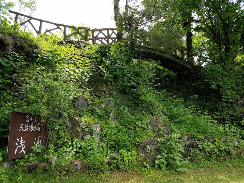 富士山天然湧水池浅池