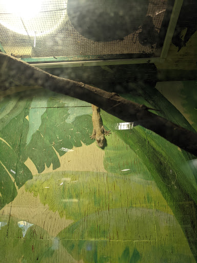 Zoo «Seneca Park Zoo», reviews and photos, 2222 St. Paul Street, Rochester, NY 14621, USA