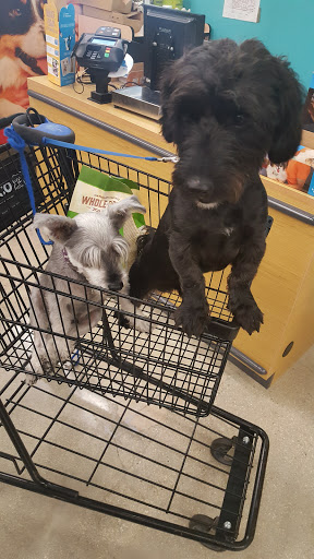 Pet Supply Store «Petco Animal Supplies», reviews and photos, 15895 Pines Blvd, Pembroke Pines, FL 33028, USA