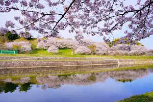 Furusatoshijo Park image