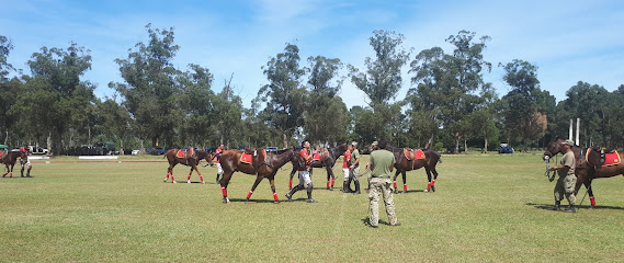 Regimiento de Caballeria Mecanizado Nº 4