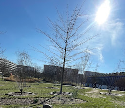 Hochzeits Park photo