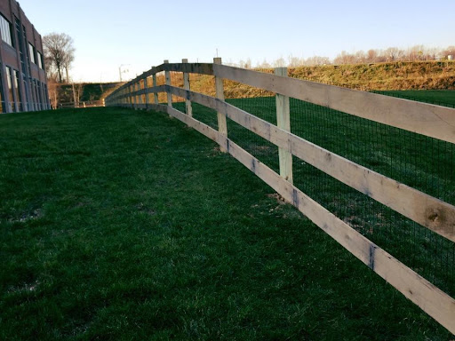 Movie Theater «AMC ACADEMY 8», reviews and photos, 6198 Greenbelt Rd, Greenbelt, MD 20770, USA