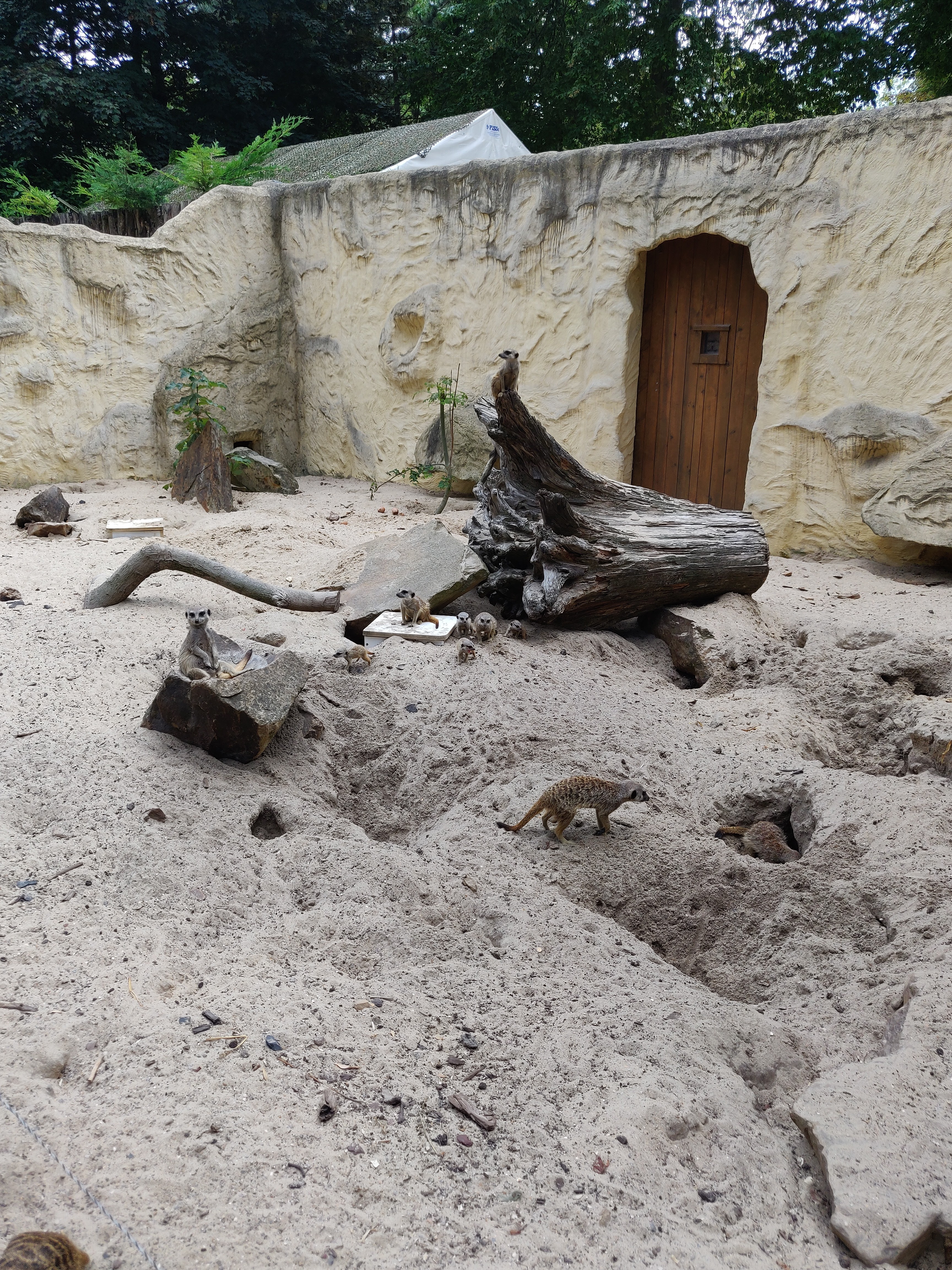 Photo n° 18 de l'avis de Amélie.e fait le 31/08/2019 à 17:39