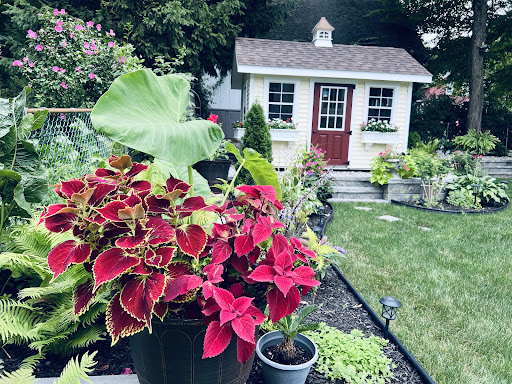 Hardware Store «Amish Mike», reviews and photos, 480 US-46, Hackettstown, NJ 07840, USA