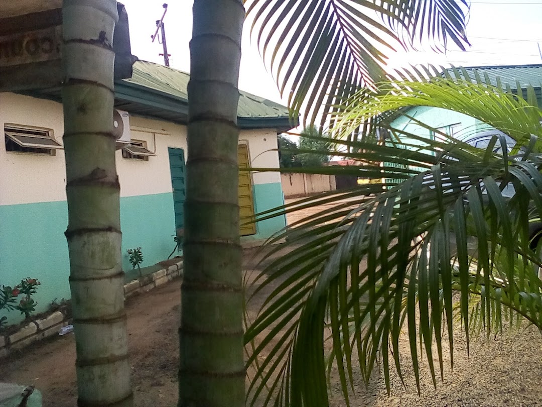 Zinny Garden