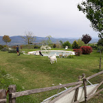 Photo n°2 de l'avis de Fiorella.e fait le 21/04/2019 à 14:50 sur le  Il Torrino del Povile à Graffignano