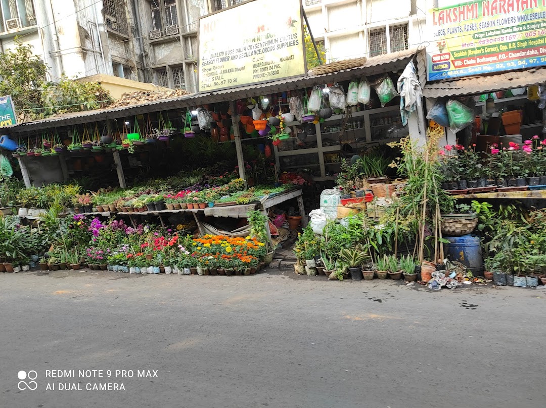 Sealdah Flower Market