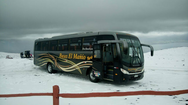 Buses El Mañio - Puerto Montt