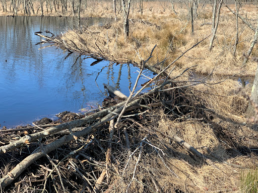 Nature Preserve «Black Run Preserve», reviews and photos, Kettle Run Rd, Evesham Township, NJ 08053, USA