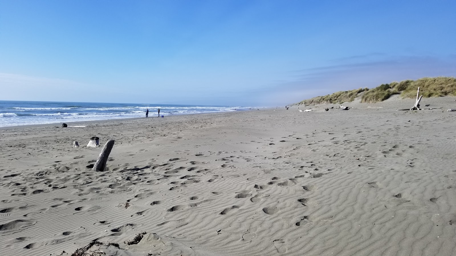 Photo de Mad River Beach - bon endroit convivial pour les animaux de compagnie pour les vacances