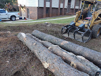 Carolina Land & Tree - Tree Removal, Stump Removal, Tree Company Graham NC - Photo 8 - Car repair in , Burlington