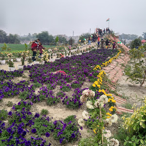 Das Driftwood Museum & Park photo