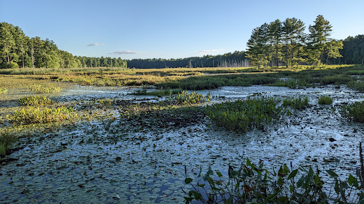National Reserve «Assabet River National Wildlife Refuge», reviews and photos, 680 Hudson Road, Sudbury, MA 01776, USA