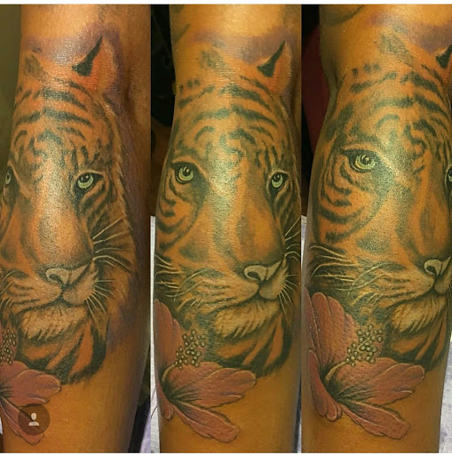 Tattoo Shop «Tattoo Renaissance», reviews and photos, 5323 Greenbrook Dr, Charlotte, NC 28205, USA