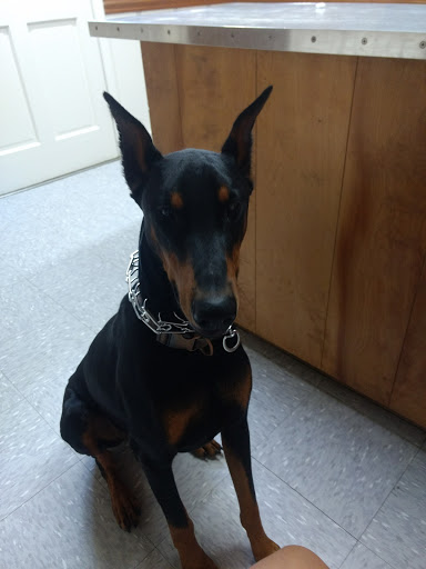 188 Caratoke Hwy, Moyock, NC 27958, USA