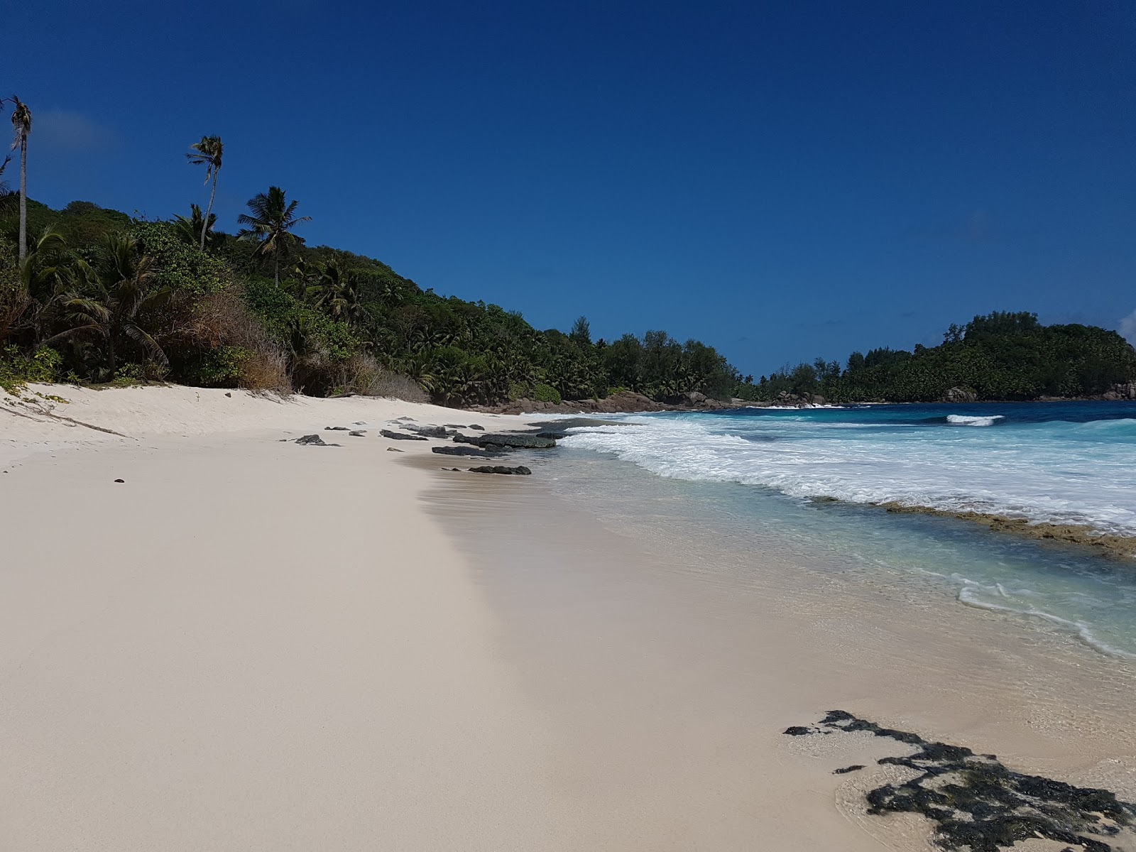 Foto av Anse Bazarca Beach vildmarksområde