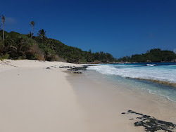 Anse Bazarca Beach'in fotoğrafı vahşi alan