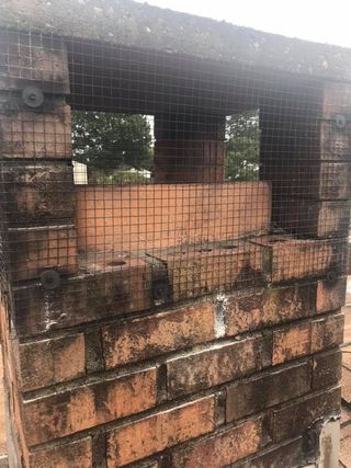 Animal Control Service «Xceptional Wildlife Removal», reviews and photos