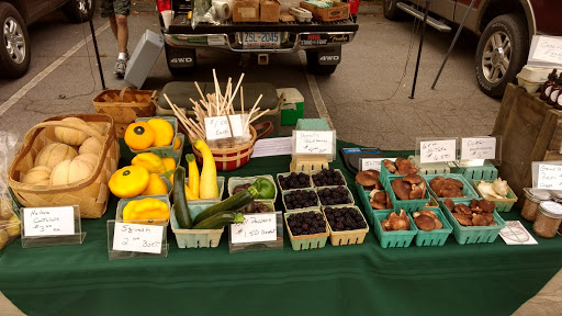 Arts Organization «HART Theatre», reviews and photos, 250 Pigeon St, Waynesville, NC 28786, USA